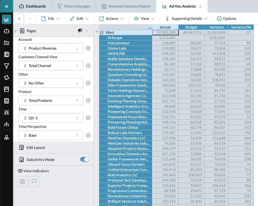 Prophix FP&A Plus Revenue Variance per customer